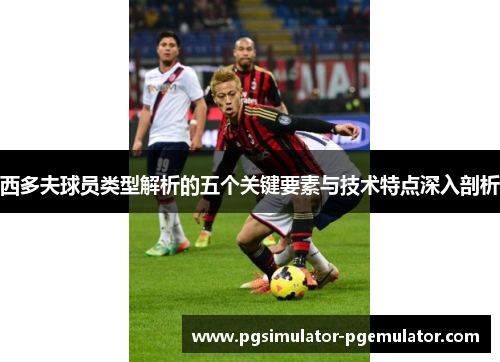 西多夫球员类型解析的五个关键要素与技术特点深入剖析