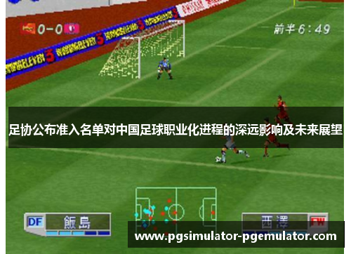 足协公布准入名单对中国足球职业化进程的深远影响及未来展望