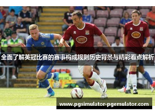 全面了解英冠比赛的赛事构成规则历史背景与精彩看点解析