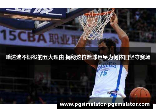 哈达迪不退役的五大理由 揭秘这位篮球巨星为何依旧坚守赛场
