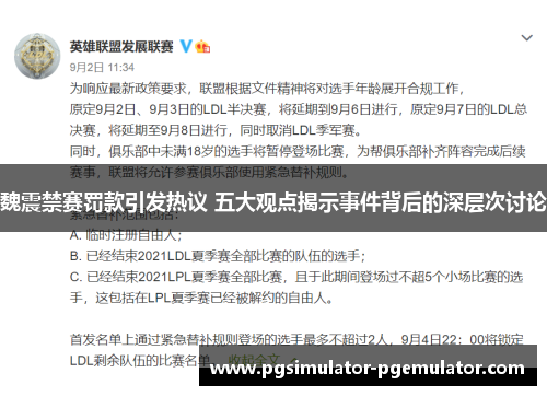 魏震禁赛罚款引发热议 五大观点揭示事件背后的深层次讨论 魏震禁赛罚款引发热议 五大观点揭示事件背后的深层次讨论