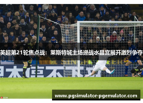 英超第21轮焦点战:莱斯特城主场迎战水晶宫展开激烈争夺 英超第21轮焦点战:莱斯特城主场迎战水晶宫展开激烈争夺