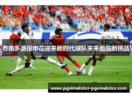 费南多退役申花迎来新时代球队未来面临新挑战