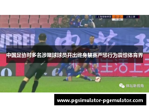 中国足协对多名涉赌球球员开出终身禁赛严惩行为震惊体育界 中国足协对多名涉赌球球员开出终身禁赛严惩行为震惊体育界