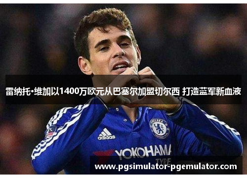 雷纳托·维加以1400万欧元从巴塞尔加盟切尔西 打造蓝军新血液 雷纳托·维加以1400万欧元从巴塞尔加盟切尔西 打造蓝军新血液