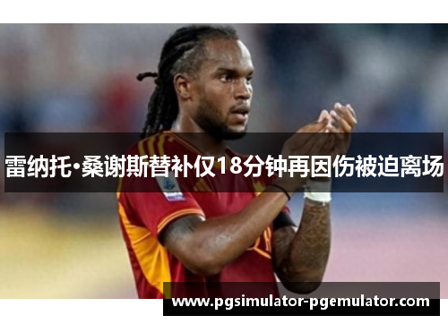 雷纳托·桑谢斯替补仅18分钟再因伤被迫离场 雷纳托·桑谢斯替补仅18分钟再因伤被迫离场