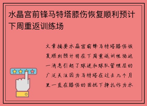 水晶宫前锋马特塔膝伤恢复顺利预计下周重返训练场 水晶宫前锋马特塔膝伤恢复顺利预计下周重返训练场