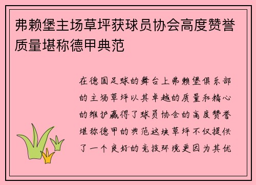 弗赖堡主场草坪获球员协会高度赞誉质量堪称德甲典范 弗赖堡主场草坪获球员协会高度赞誉质量堪称德甲典范