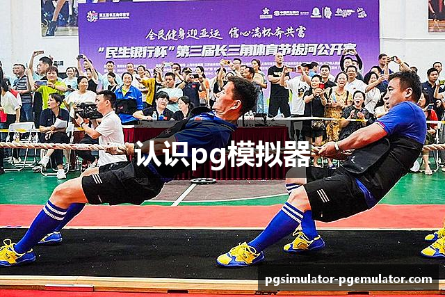 认识pg模拟器